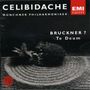 Anton Bruckner: Symphonie Nr.7, CD,CD