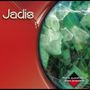 Jadis: More Questions than Answers, CD
