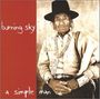 Burning Sky: A Simple Man, CD