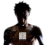 Tricky: False Idols, CD