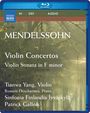 Felix Mendelssohn Bartholdy: Violinkonzert op.64, BRA