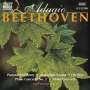 : Beethoven-Adagios, CD