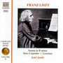 Franz Liszt: Klavierwerke Vol.8, CD