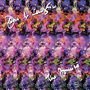 John McLaughlin (geb. 1942): The Promise, CD