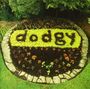 Dodgy: Ace A's & Killer B's, CD