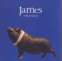 James (Rockband): Millionaires, CD