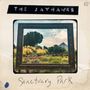 "The Jayhawks" und "Sanctuary Park". Ein Gemälde eines Parks mit Bäumen und Gräsern, eingefasst in einen Bilderrahmen.
