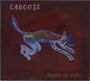 Caboose: Awake Go Zero, CD