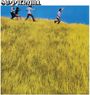 Oben steht „SUMMERHILL“. Vier Menschen laufen fröhlich über eine Hügelwiese mit hohem gelbem Gras und strahlend blauem Himmel.