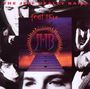 Jeff Healey: Feel This, CD