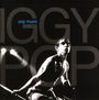 Iggy Pop: Pop Music, CD