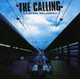 Calling: Camino Palmero, CD