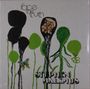 Stephen Malkmus : Face The Truth, LP
