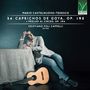Mario Castelnuovo-Tedesco: 24 Caprichos de Goya op.195, CD,CD