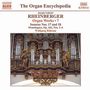 Josef Rheinberger: Sämtliche Orgelwerke Vol.7, CD