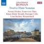 Johan Helmich Roman: Sonaten für Flöte,Cello & Cembalo Nr.1-12, CD,CD