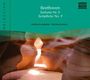 Naxos Selection: Beethoven - Symphonie Nr.9, CD