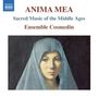 : Anima Mea - Sacred Music of the Middle Ages, CD
