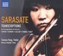 Pablo de Sarasate: Musik für Violine & Klavier Vol.4, CD