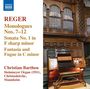 Max Reger: Sämtliche Orgelwerke Vol.13, CD