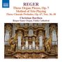 Max Reger: Sämtliche Orgelwerke Vol.16, CD