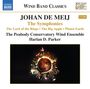 Johan de Meij: Symphonien Nr.1-3, CD,CD
