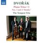 Antonin Dvorak: Klaviertrios Vol.1, CD