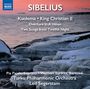 Jean Sibelius (1865-1957): Orchesterwerke, CD