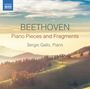 Ludwig van Beethoven: Klavierstücke & Fragmente (Skizzen,Miniaturen,Kadenzen,Transkriptionen,Arrangements), CD