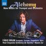 : Fabio Brum - Alchemy, CD