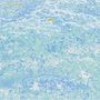 Text: "Emily A. Sprague", "Cyano". Eine Illustration mit blauen, wellenartigen Mustern.
