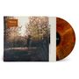 Josh Ritter: I Believe in You, My Honeydew (Root Beer Vinyl), LP
