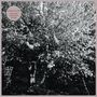 Papercuts: Parallel Universe Blues (White Vinyl), LP