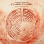 Nicholas Lens: Flamma Flamma - The Fire Requiem (180g), LP,LP