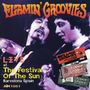 The Flamin' Groovies: Live At The Festival Of, CD