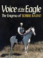 Robbie Basho: Voice Of The Eagle: The Enigma Of Robbie Basho - A Film By Liam Barker, DVD