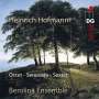 Heinrich Hofmann: Serenade op.65 für Flöte & Streichquintett, SACD