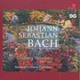 Johann Sebastian Bach: Goldberg-Variationen BWV 988 für Fagott-Ensemble, SACD