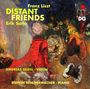 Andreas Seidel & Steffen Schleiermacher - Distant Friends, CD