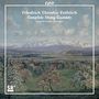 Friedrich Theodor Fröhlich: Sämtliche Streichquartette, CD,CD