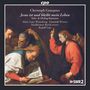 Christoph Graupner: Solo- & Dialog-Kantaten, CD,CD