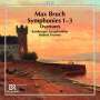 Max Bruch: Sämtliche Symphonien, CD,CD