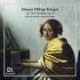 Johann Philipp Krieger: Triosonaten op.2 Nr.1-12 für Violine,Viola da gamba,Bc, CD,CD