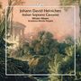 "Johann David Heinichen, Italian Soprano Cantatas, Miriam Albano, Academia Montis Regalis." Malerische Landschaft mit Ruinen.