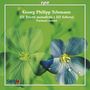 Georg Philipp Telemann: Triosonaten "Trietti metodichi e Scherzi", CD