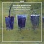 Hendrik Andriessen: Orchesterwerke Vol.3, CD