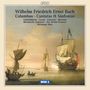 Wilhelm Friedrich Ernst Bach: Kantaten und Sinfonias, CD