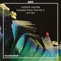 Joseph Haydn: Sämtliche Klaviertrios Vol.5, CD