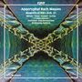 Johann Sebastian Bach: Messen & Magnificat (Apokryphe Werke 3), CD