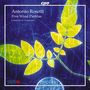 Antonio Rosetti: Partiten für Bläser Nr.8,9,11,14,15, CD